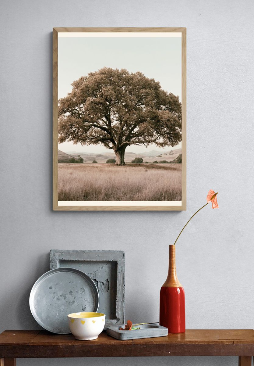 Solitary Oak in Meadow Photography Poster. — room view 3