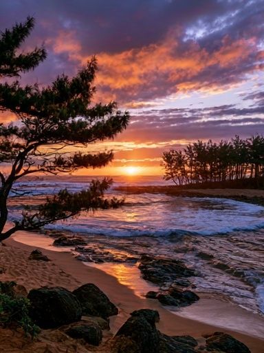 Sunset Beach Landscape Poster. poster detail