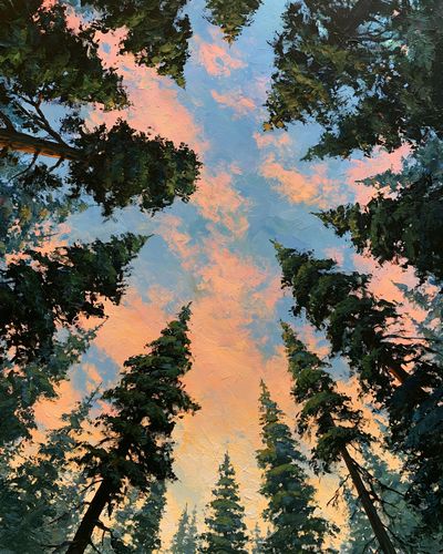 Sunset Forest Canopy — Impressionist Print.