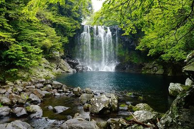 Cheonjiyeon waterfall Jeju island, Korea. poster