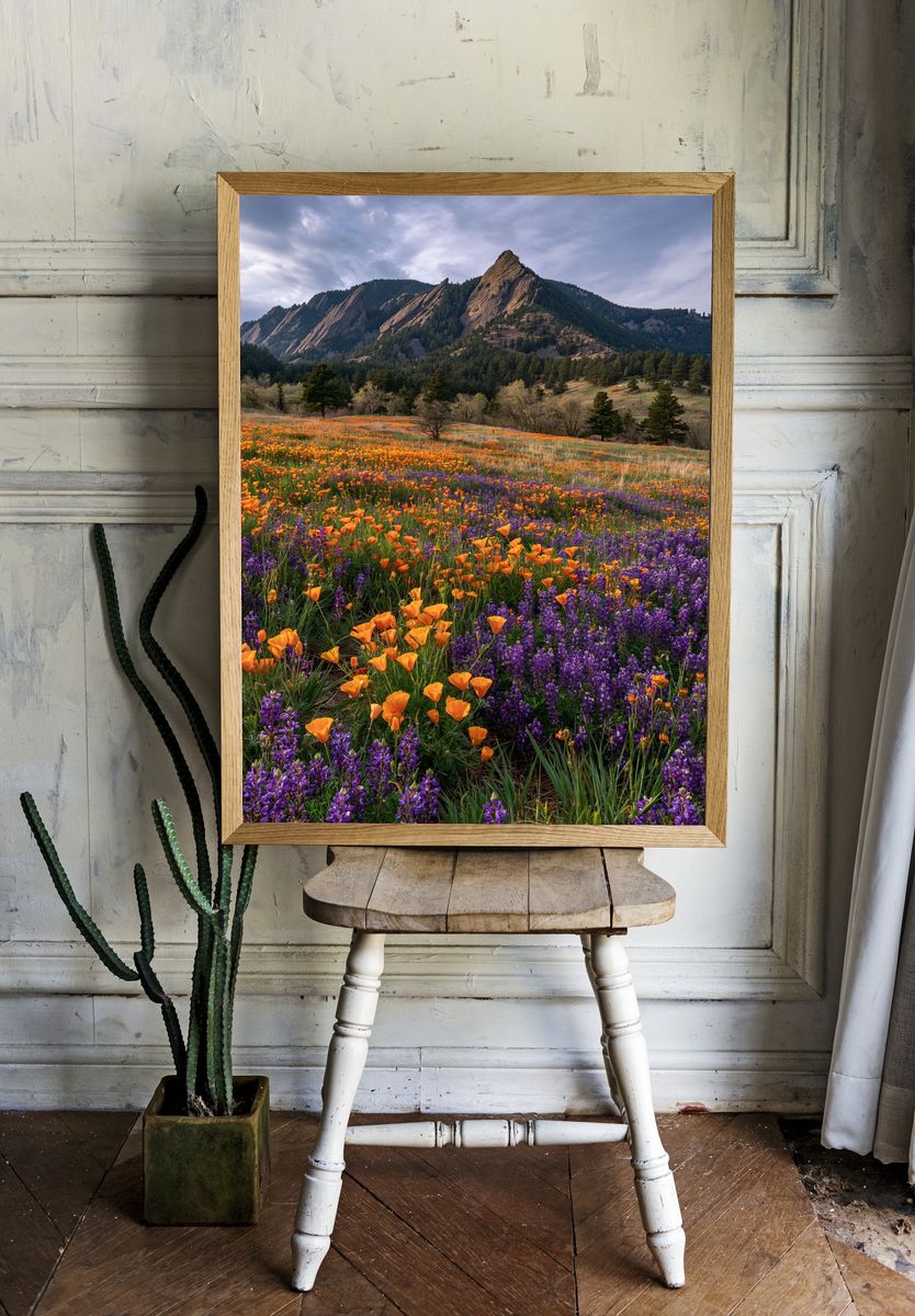 Wildflower Meadow Mountain Landscape Poster. room preview