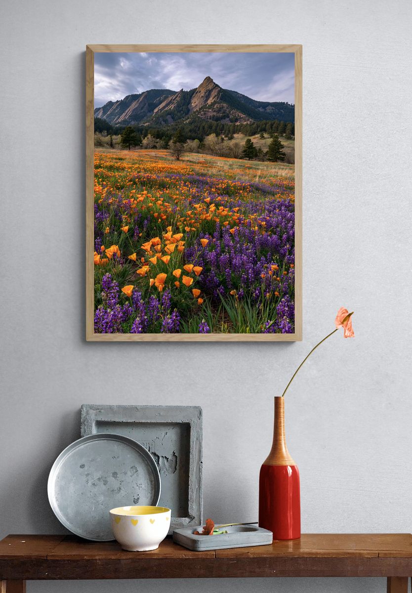 Wildflower Meadow Mountain Landscape Poster. — room view 3