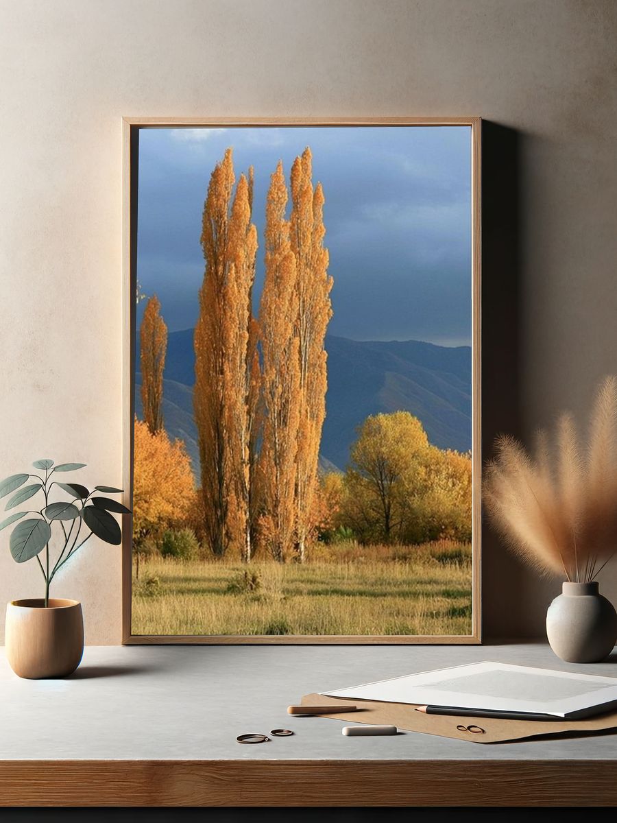 Autumn Poplars Landscape Poster. — room view 2