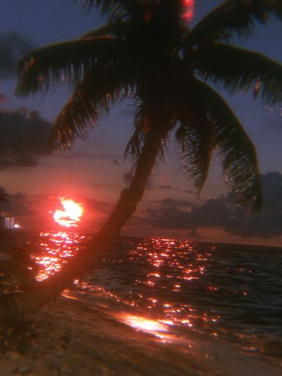 Neon Palm Sunset Poster.