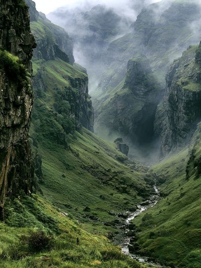 Misty Green Canyon Landscape Poster.