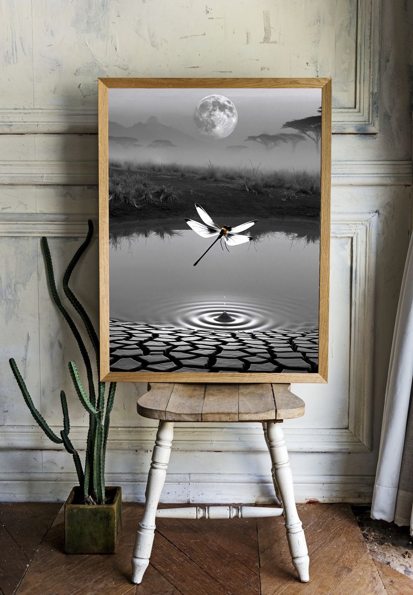 Moonlit Dragonfly Surreal Print. room preview
