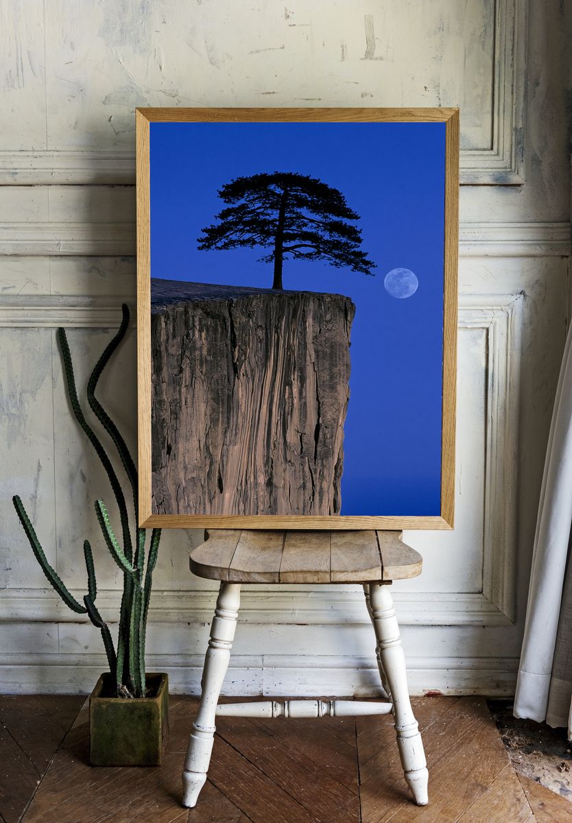 Moonlit Cliff Pine Photography Poster. room preview