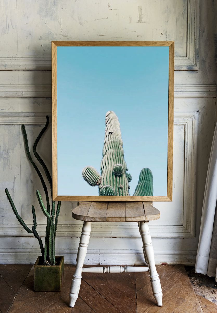 Saguaro Cactus, Arizona, United States. room preview
