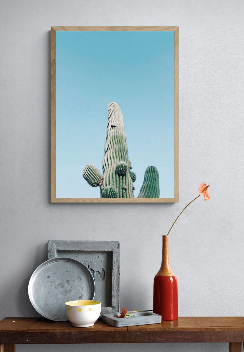 Saguaro Cactus, Arizona, United States. — room view 3