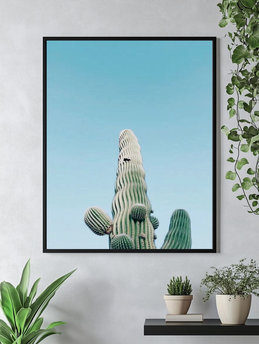 Saguaro Cactus, Arizona, United States. — room view 4