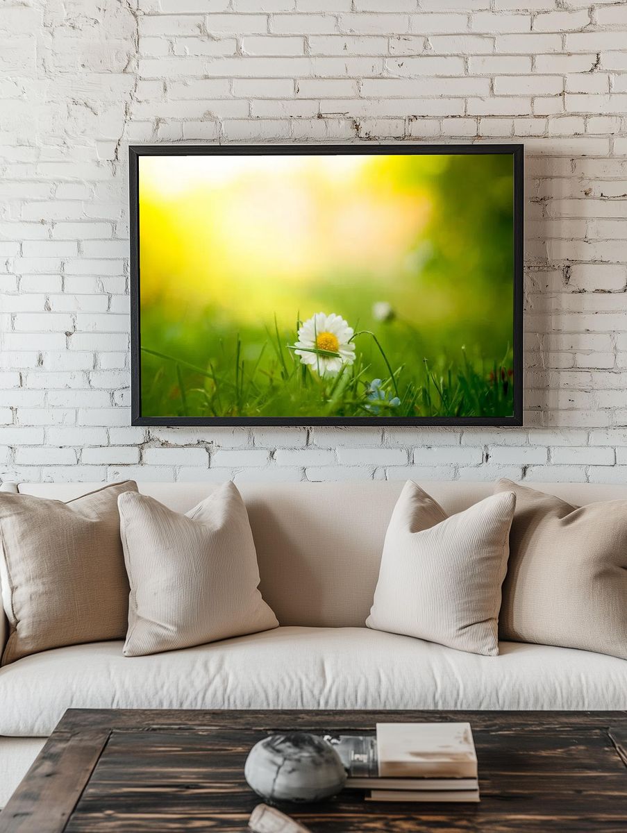 Close-up white daisy patch grass. — room view 1