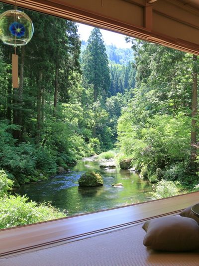 Forest Stream View Poster. poster