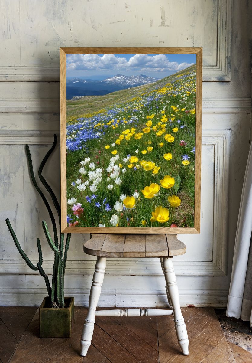 Alpine Wildflower Meadow Nature Print. room preview