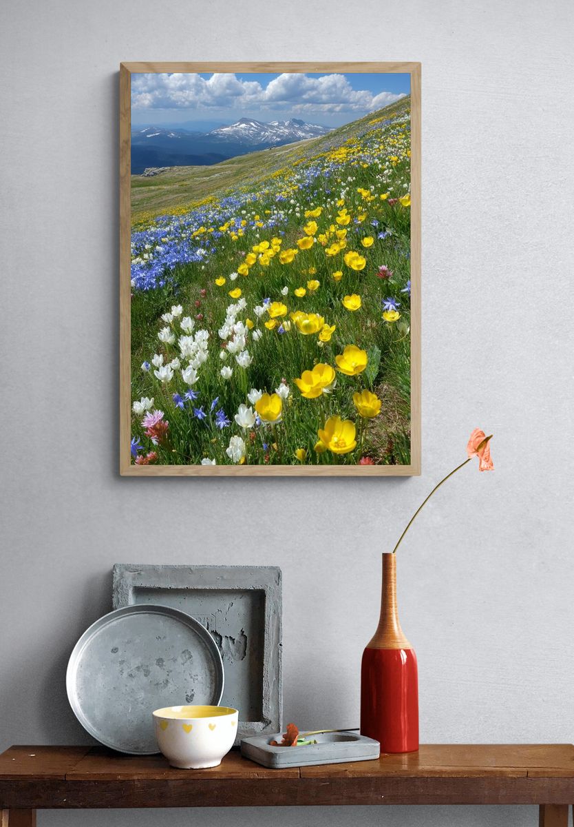 Alpine Wildflower Meadow Nature Print. — room view 3
