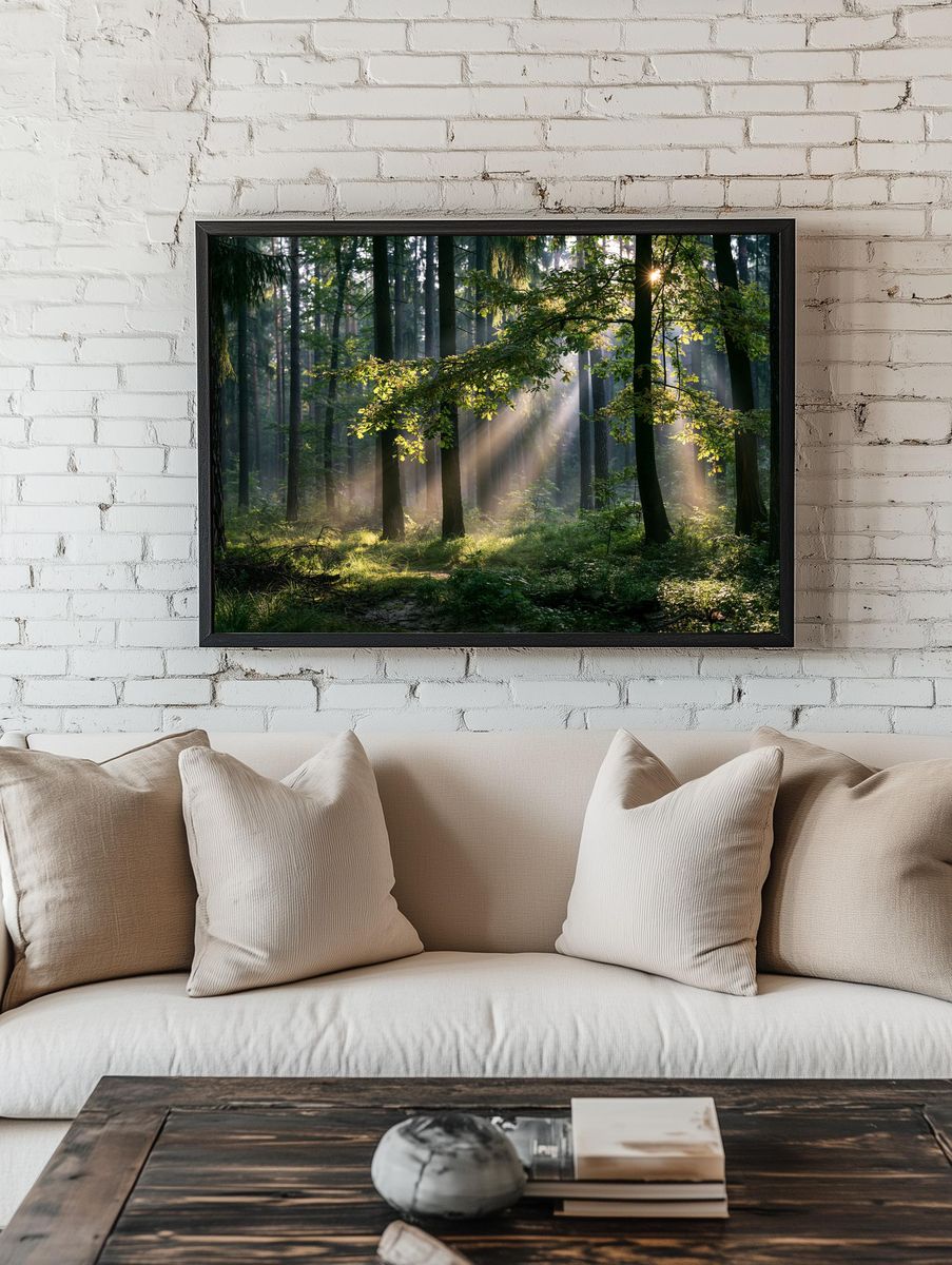 Sunlit Forest Morning Photography Poster. room preview