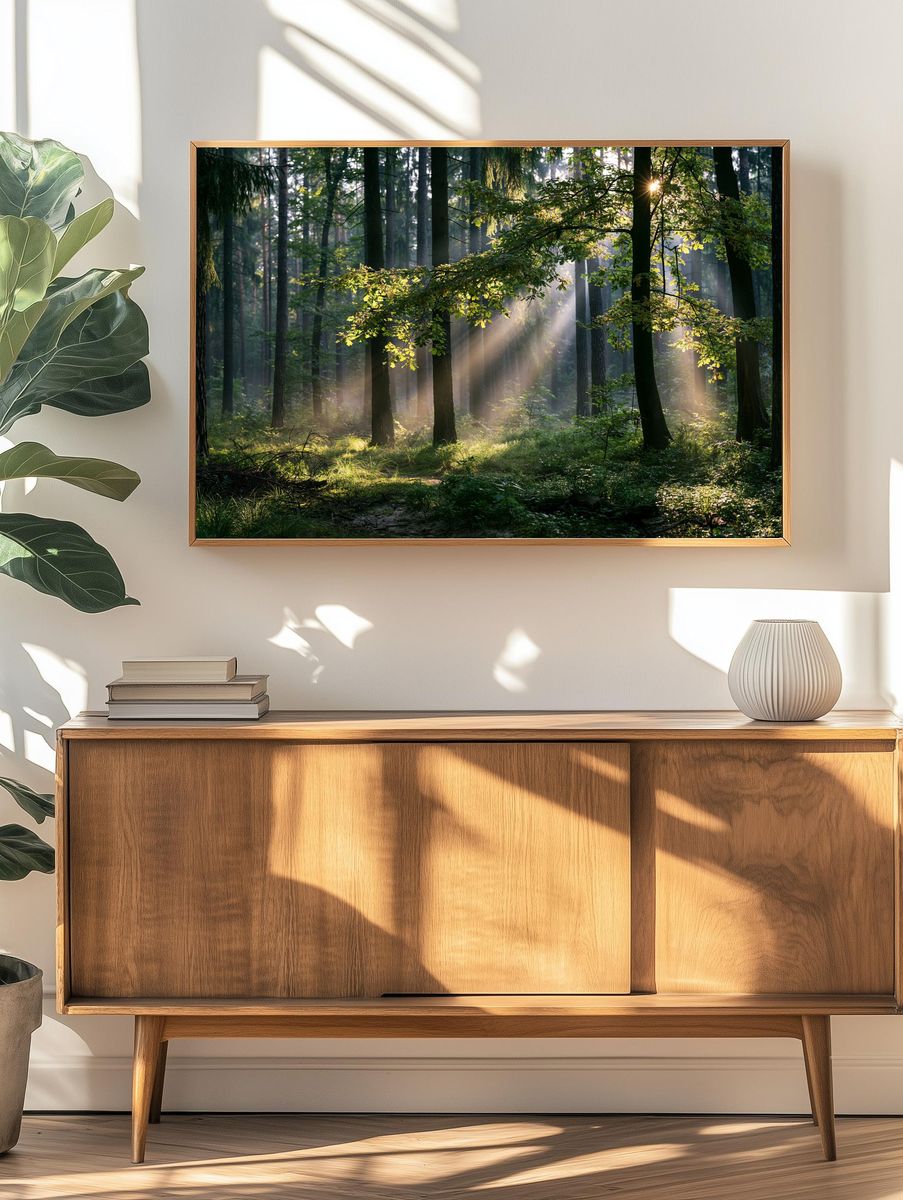 Sunlit Forest Morning Photography Poster. — room view 3