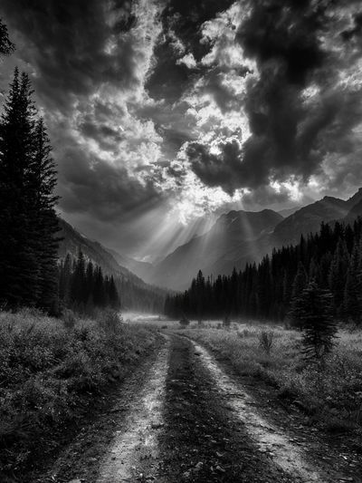 Misty Mountain Valley Photography Poster.