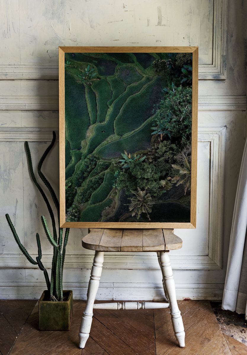 Aerial view hanging rice fields. room preview
