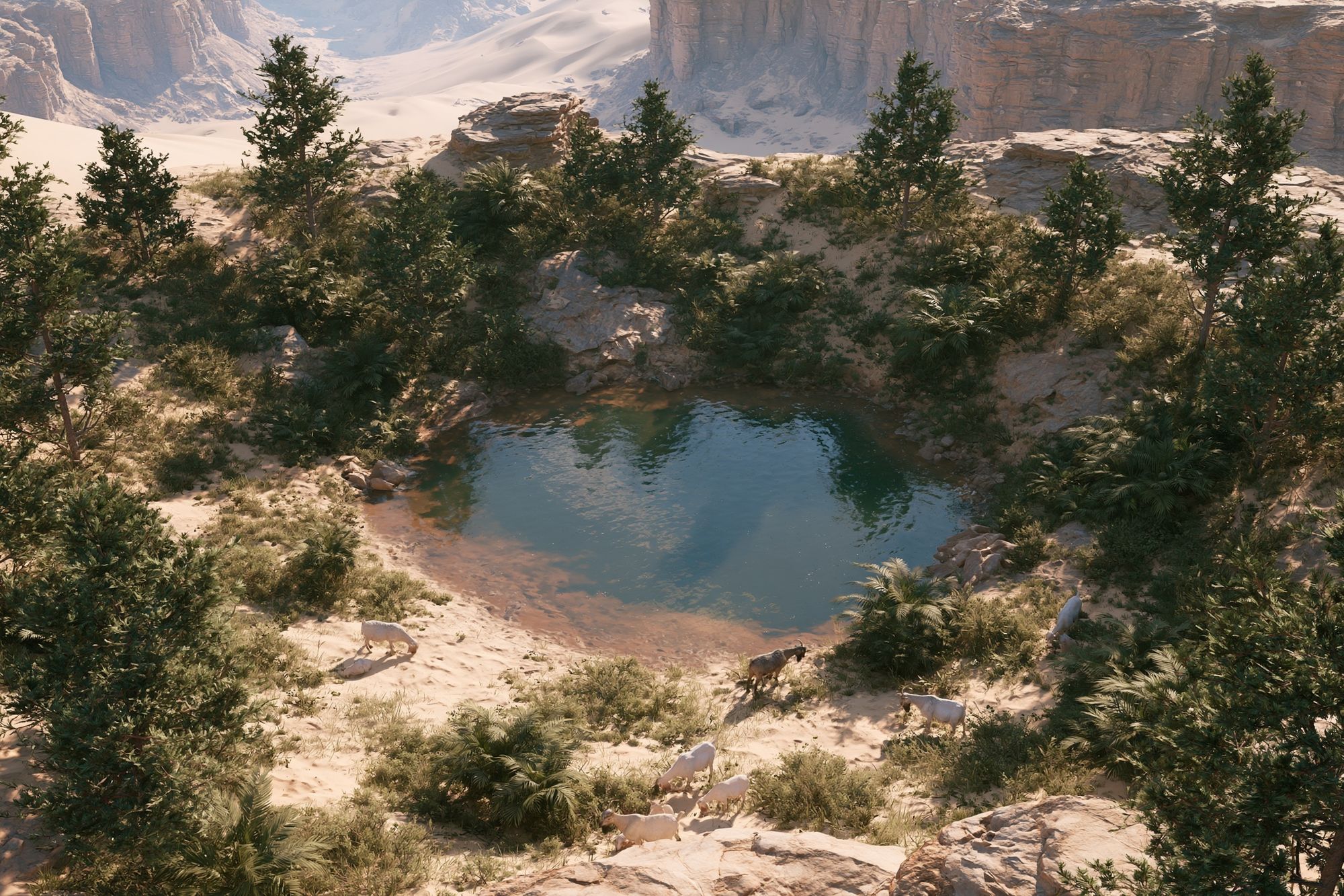 Desert Oasis with Goats Poster. poster detail