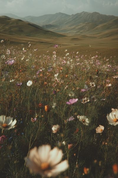 Wildflower Meadow Landscape Poster. poster