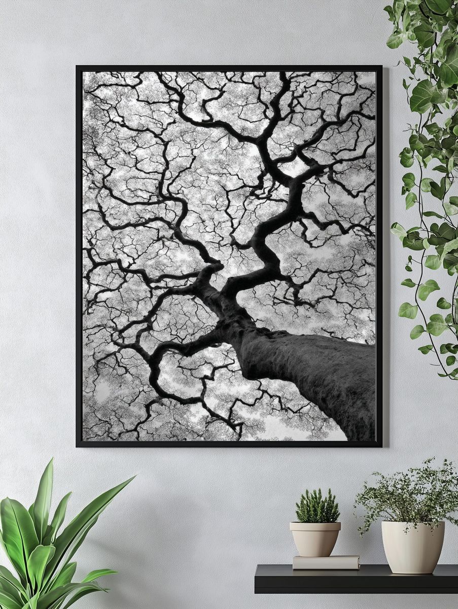 Twisted Tree Canopy Black-White Poster. — room view 4