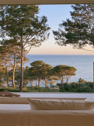 Coastal Pines Sea View Poster.