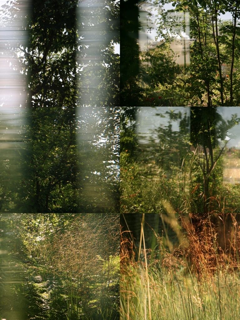 Sunlit Garden Meadow Photography Poster. poster detail