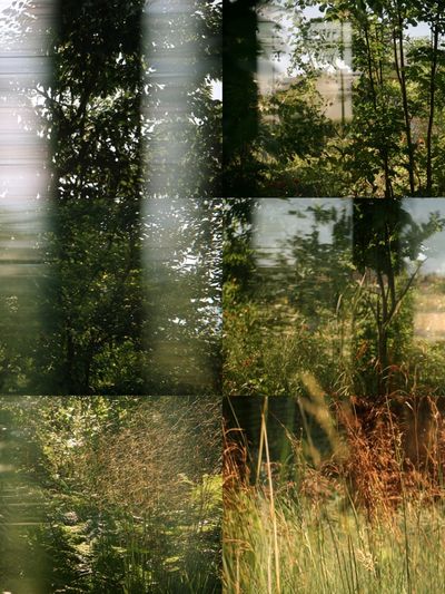 Sunlit Garden Meadow Photography Poster. poster