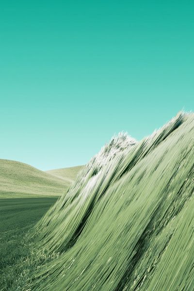 Wind-Swept Grassland Nature Print.
