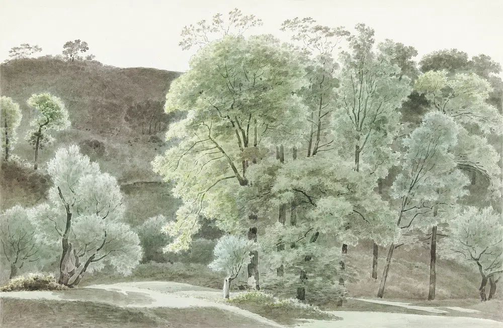 Bomen de omgeving van Subiaco. poster — nature art