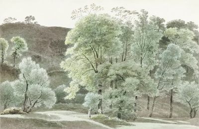 Bomen de omgeving van Subiaco. poster