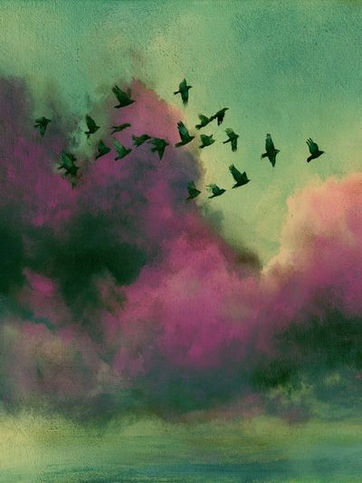 Birds Over Dreamy Clouds Print.