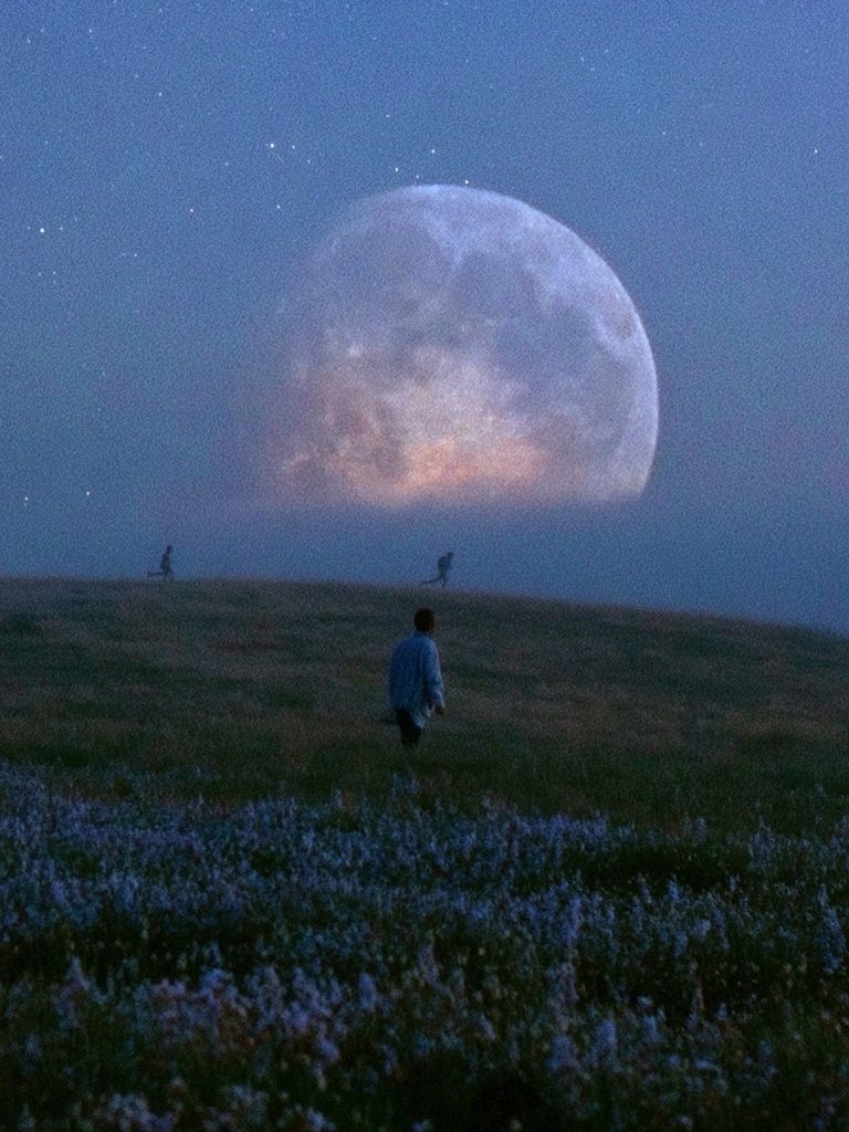 Moonlit Meadow Photography Poster. poster detail