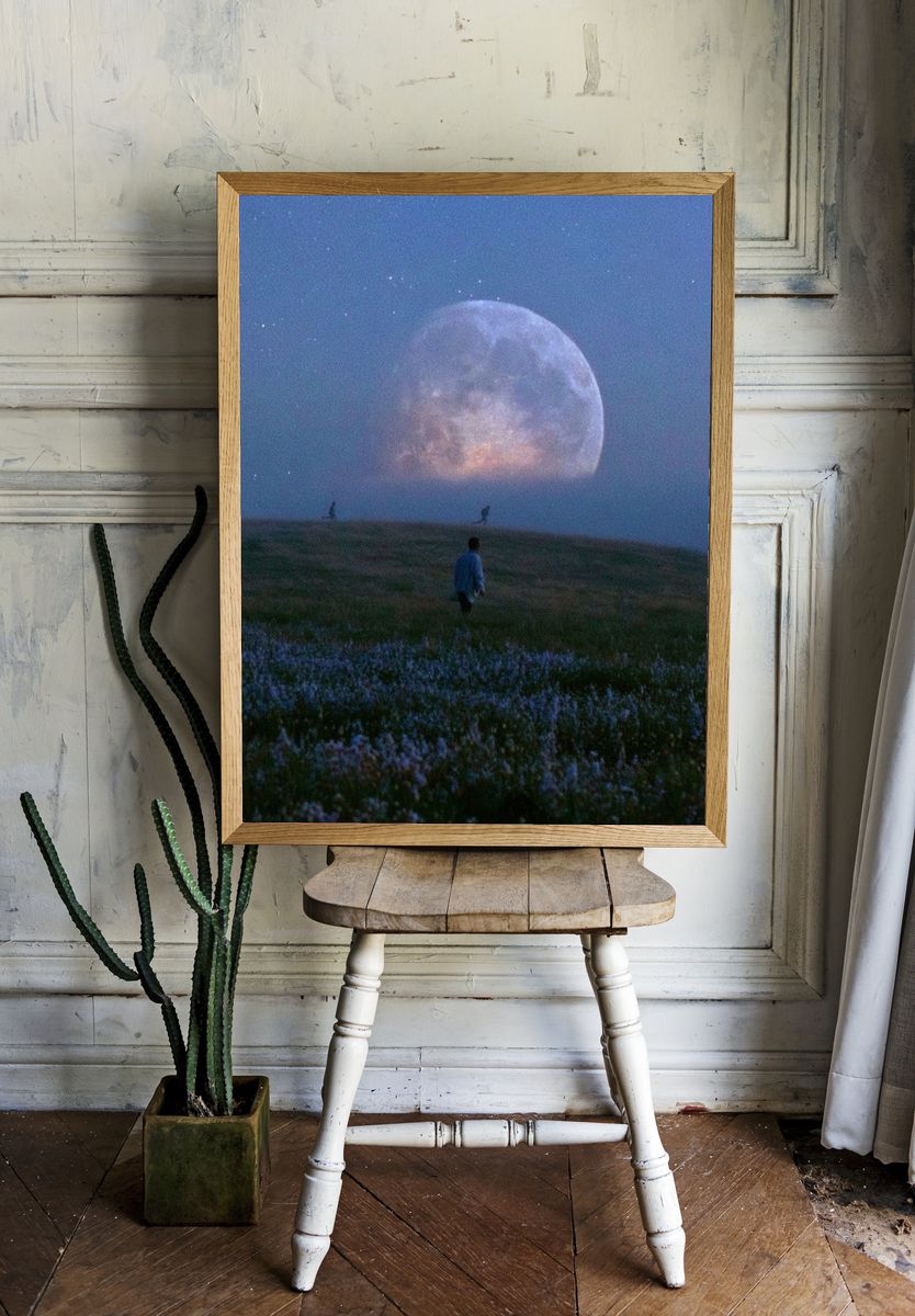 Moonlit Meadow Photography Poster. room preview