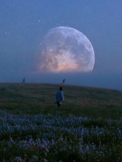 Moonlit Meadow Photography Poster.