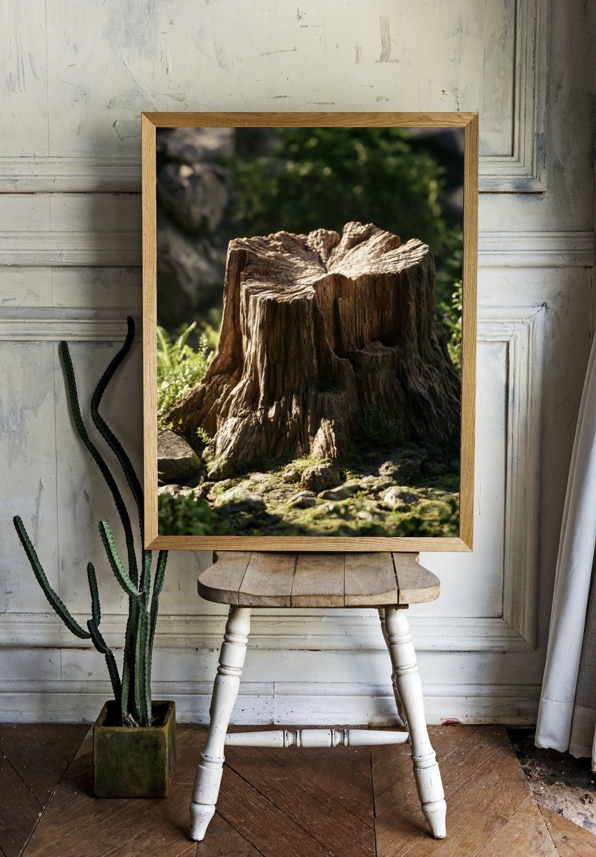 Forest Tree Stump Photography Print. — room view 1
