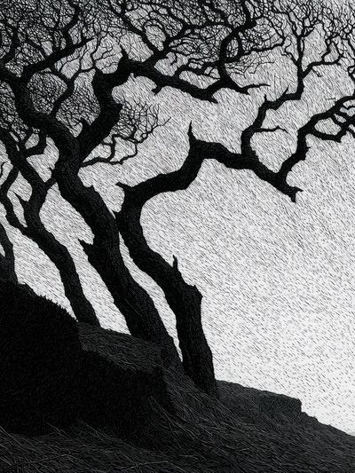 Twisted Tree Silhouette Print.