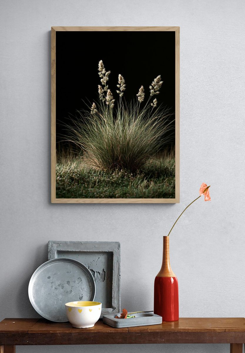 Wild Grass at Night Poster. — room view 3