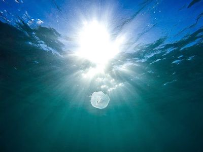 Underwater Sunburst Ocean Print