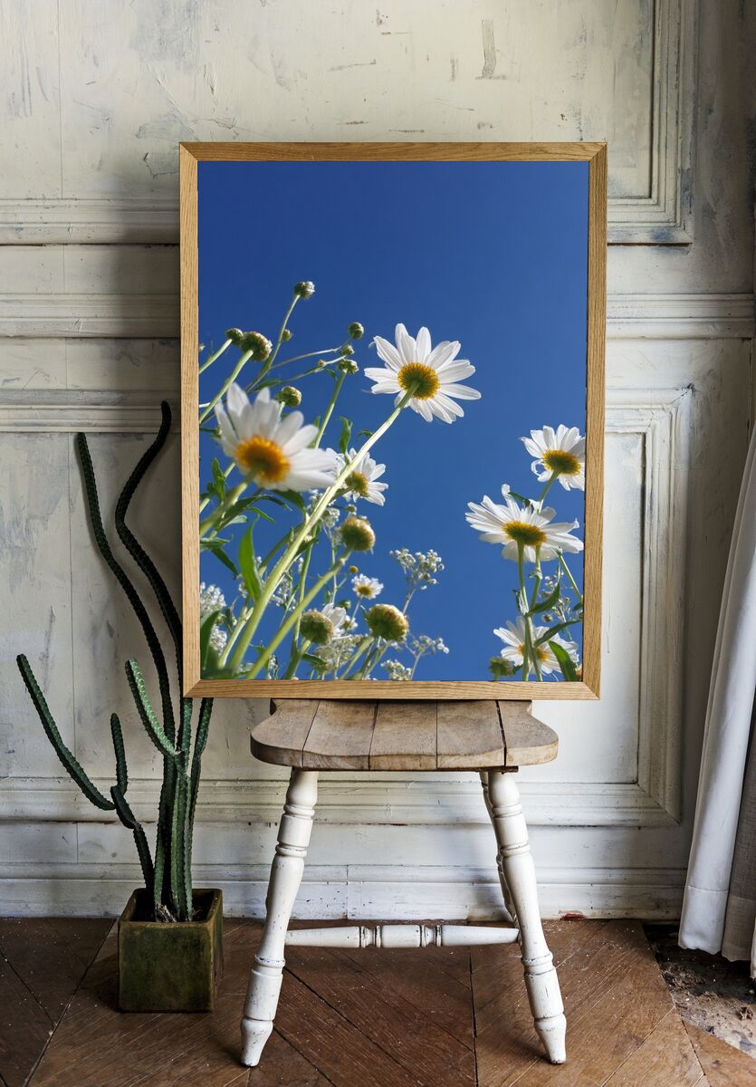 Daisy Field — Nature Photography Poster. room preview