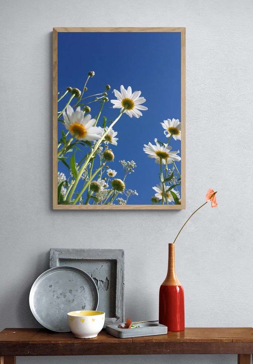 Daisy Field — Nature Photography Poster. — room view 3