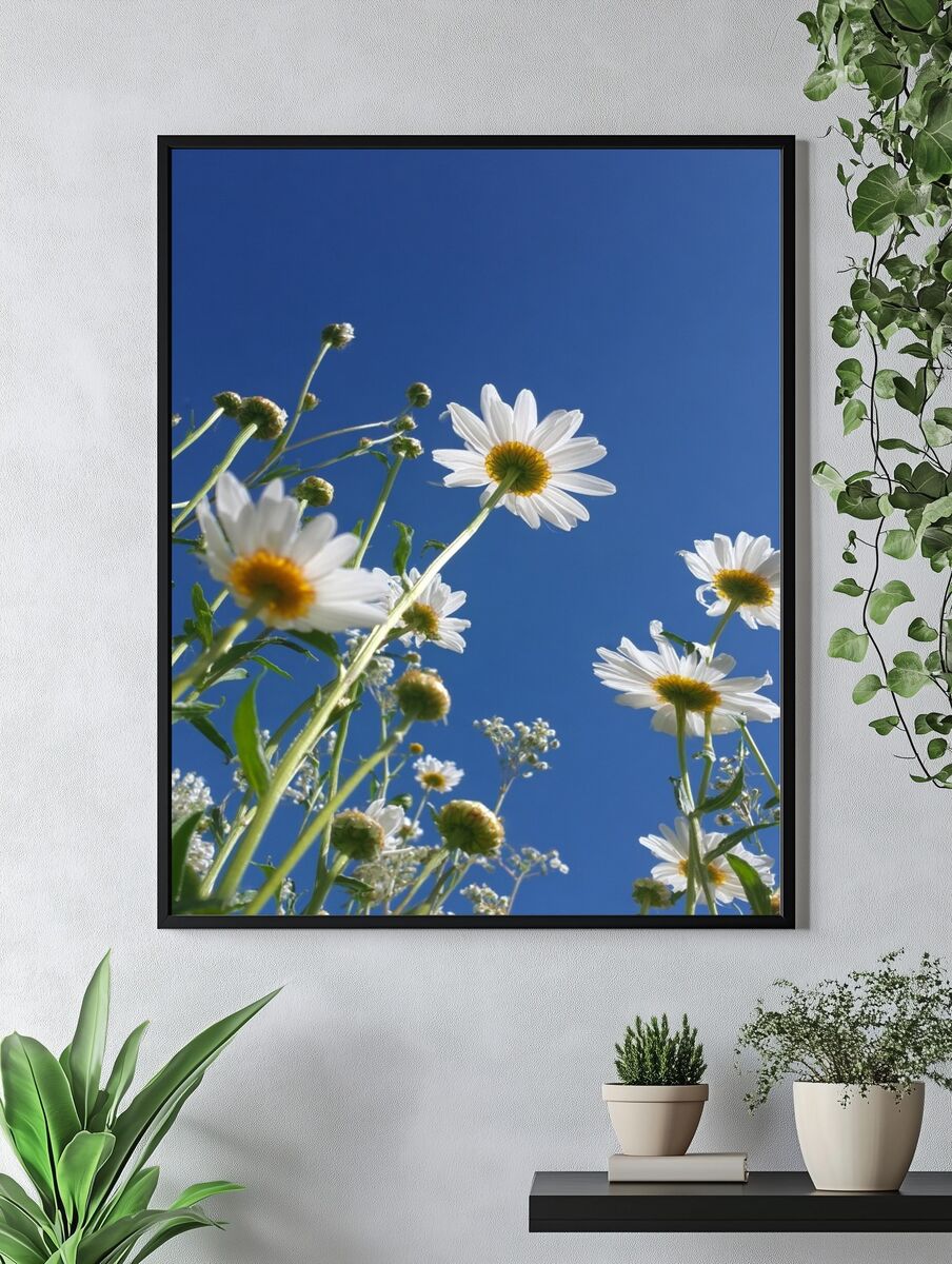 Daisy Field — Nature Photography Poster. — room view 4