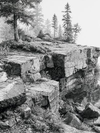 Rocky Cliff Forest Landscape Print. poster