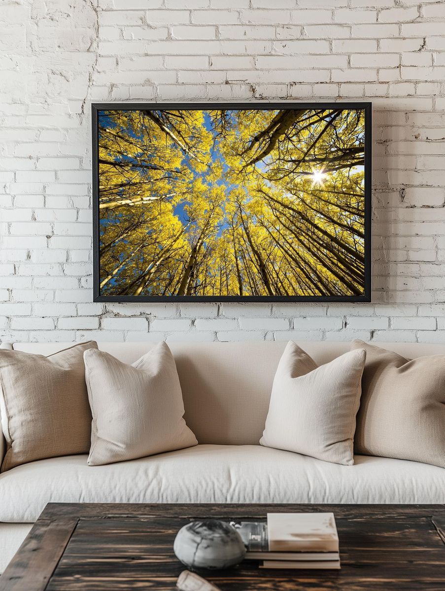 Aspen Grove Sunburst. — room view 1