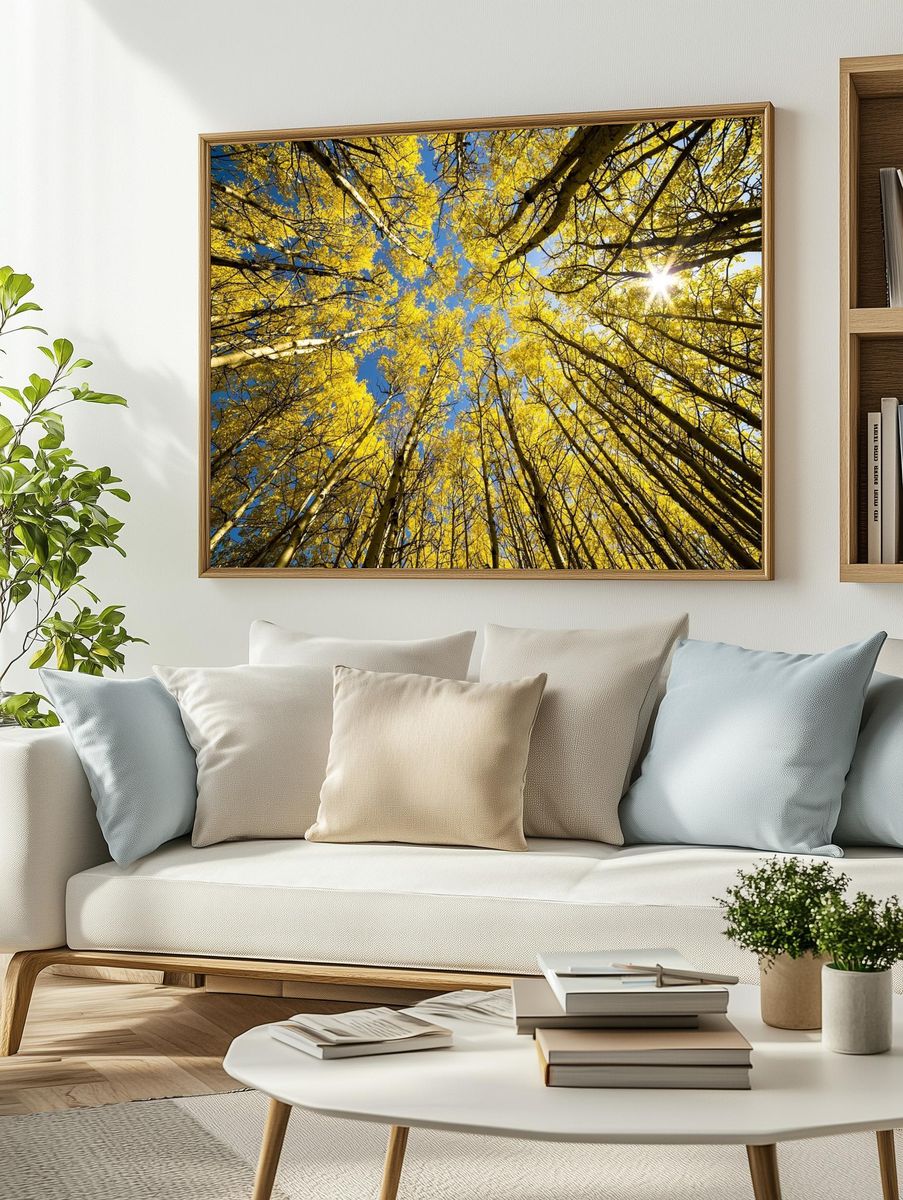 Aspen Grove Sunburst. — room view 2