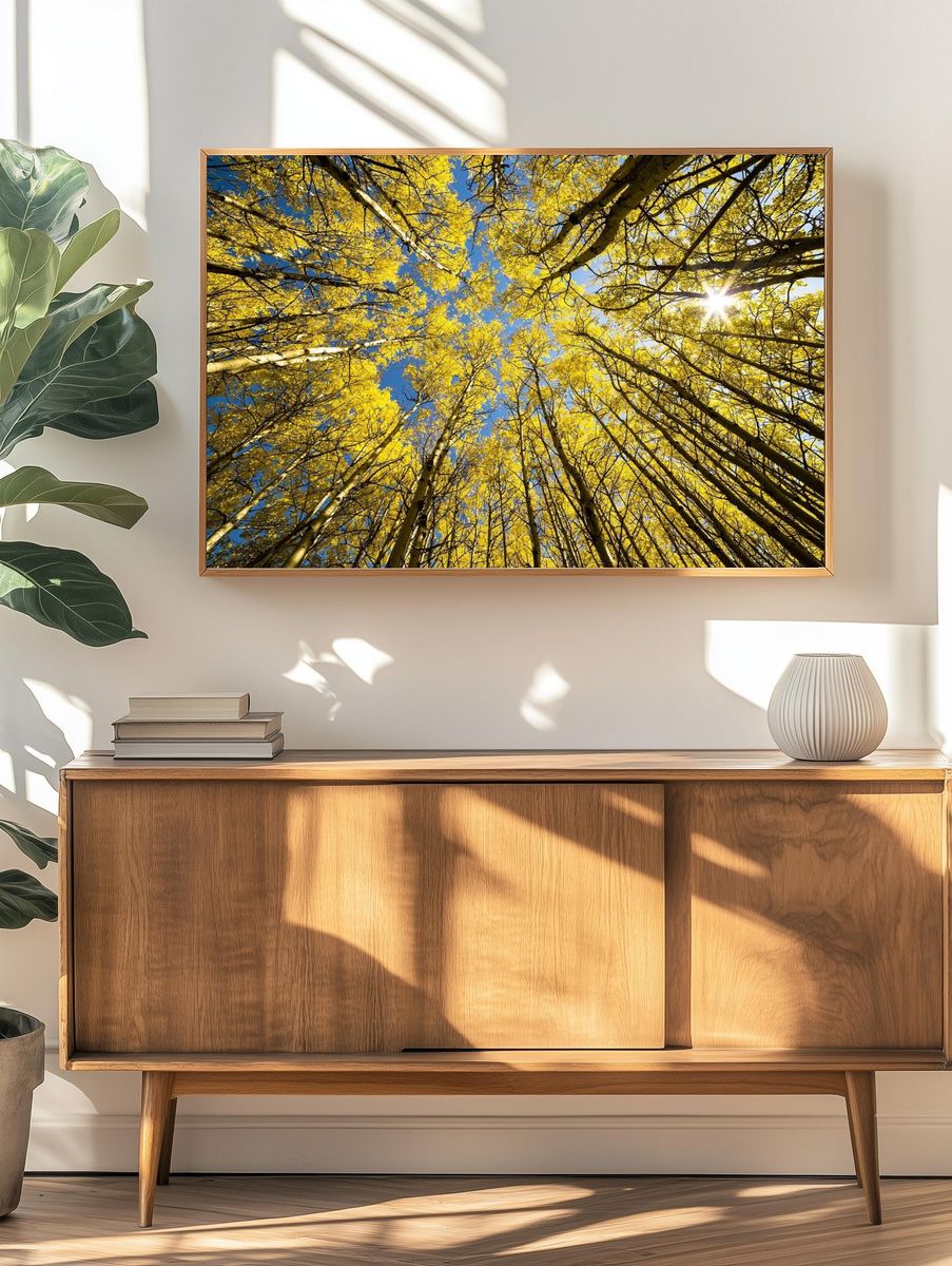 Aspen Grove Sunburst. — room view 3