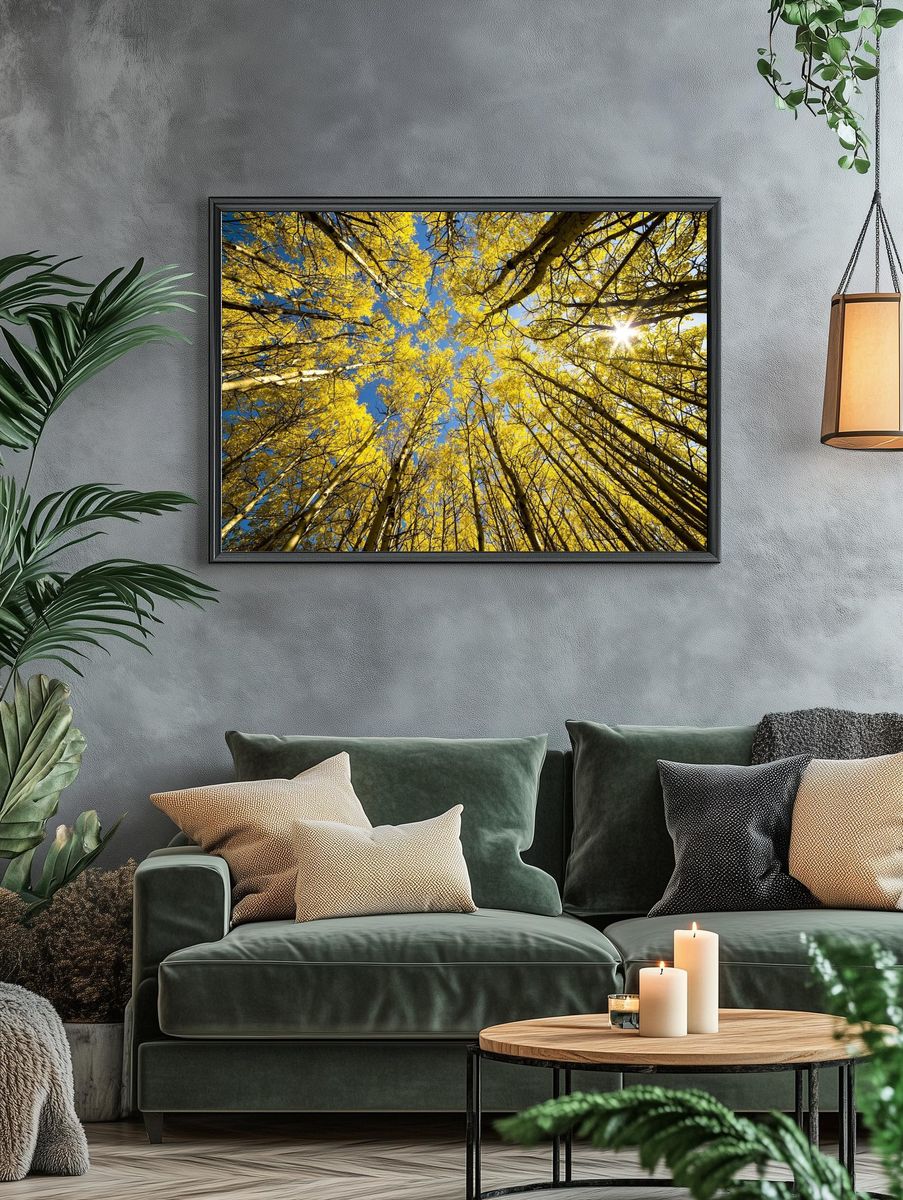 Aspen Grove Sunburst. — room view 4