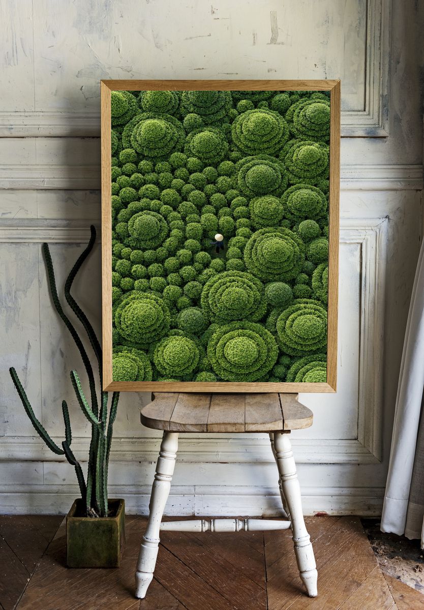 Topiary Garden Aerial Print. — room view 1