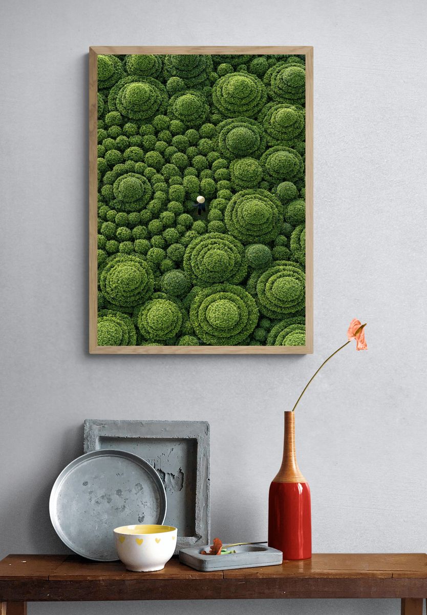 Topiary Garden Aerial Print. — room view 3