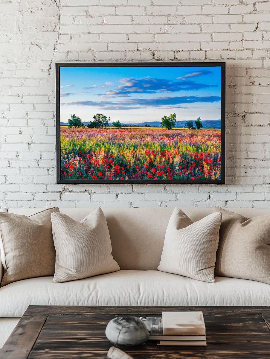 Red poppy field. Free public room preview